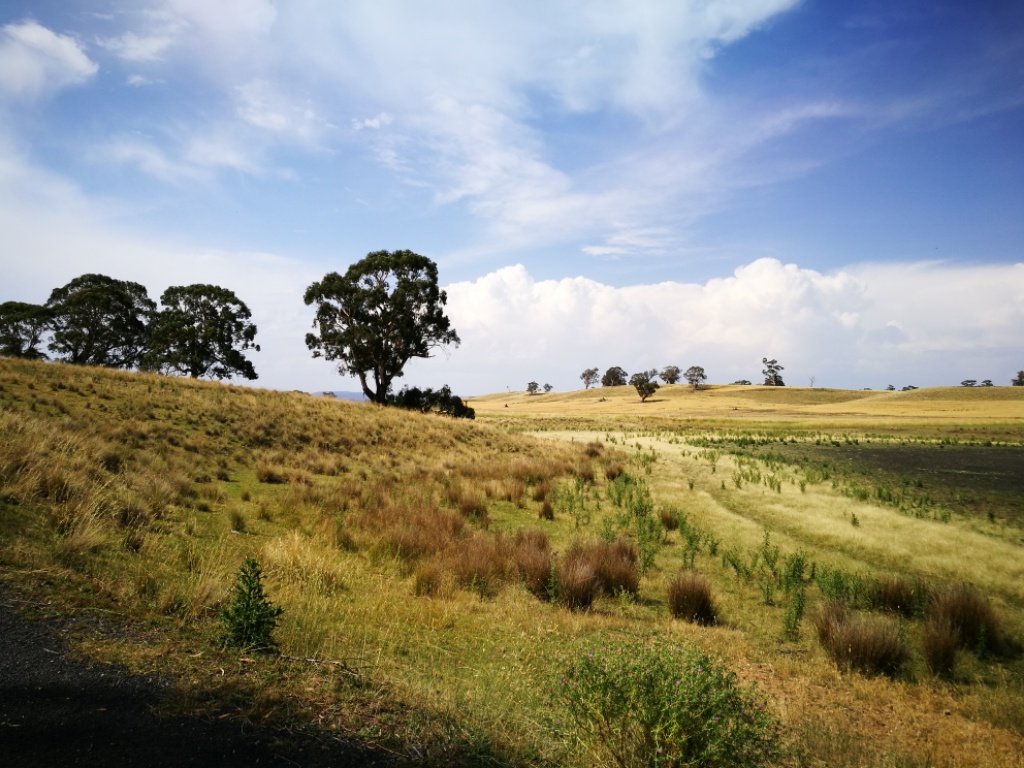 Bega, Cathcart, Cape Conran: Seenebel, Schnabeltiere und der Ozean