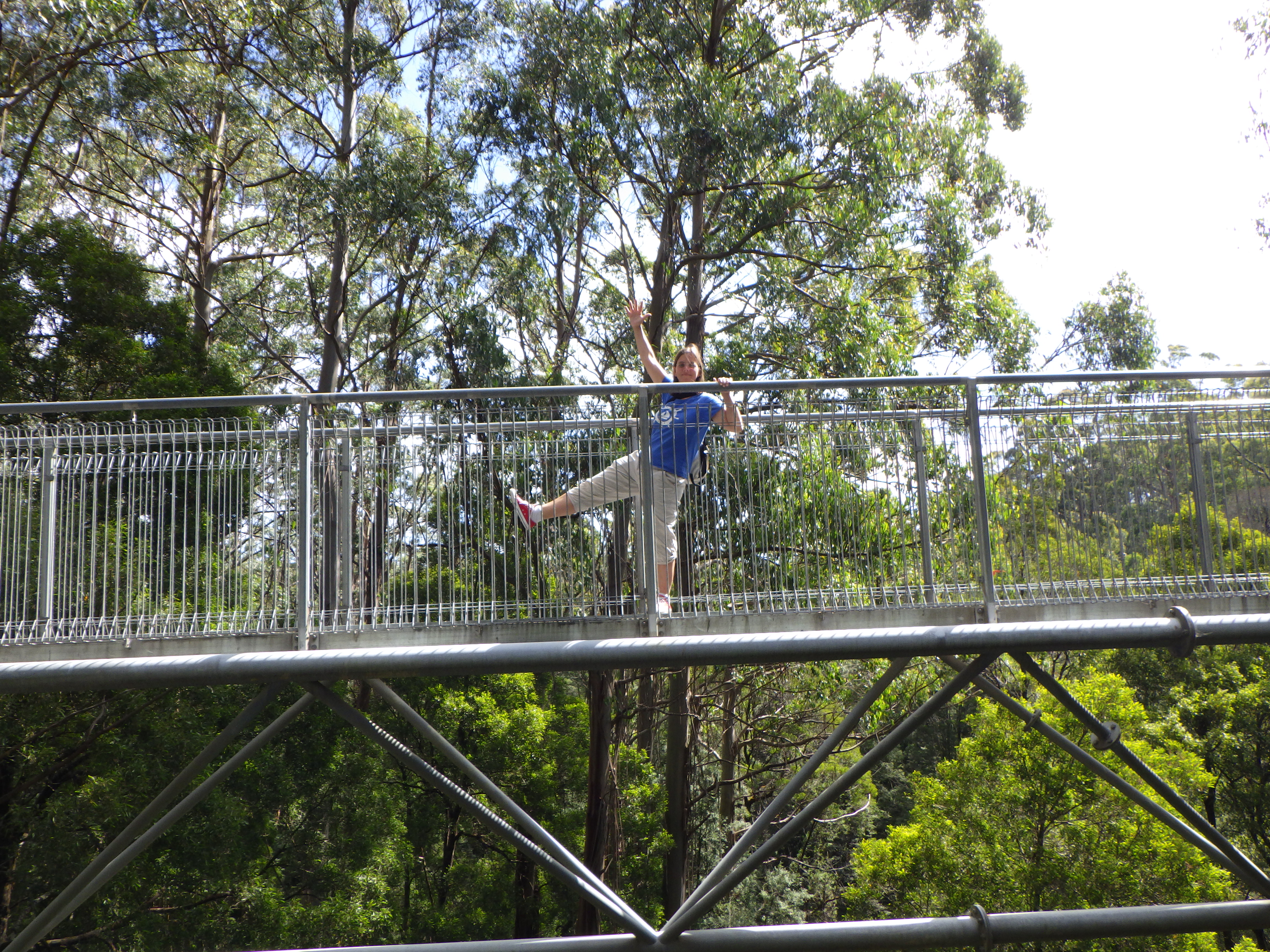 Apollo Bay, Australia Day & Tree Top Walk